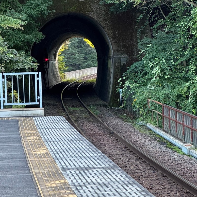 My top tips when travelling in&nbsp;Japan